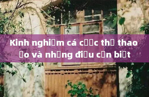 Kinh nghiệm cá cược thể thao ảo và những điều cần biết