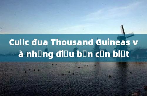 Cuộc đua Thousand Guineas và những điều bạn cần biết