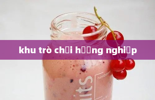 khu trò chơi hướng nghiệp