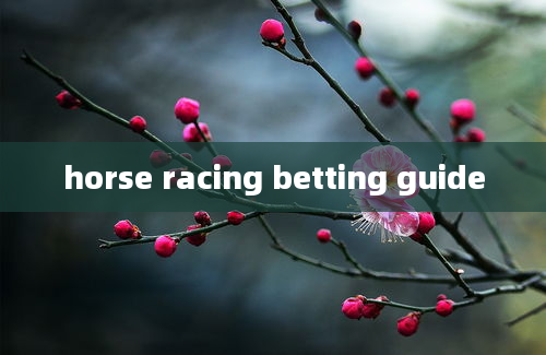 horse racing betting guide