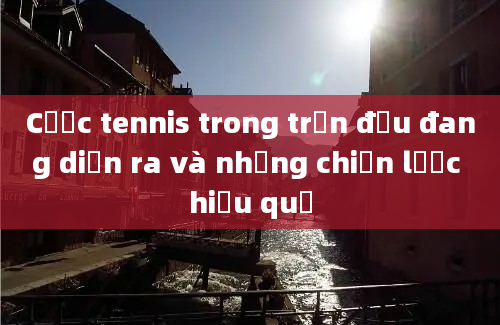 Cược tennis trong trận đấu đang diễn ra và những chiến lược hiệu quả