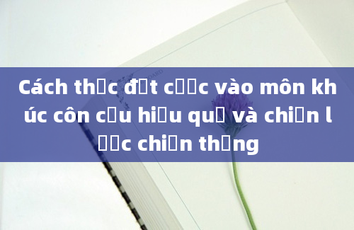 Cách thức đặt cược vào môn khúc côn cầu hiệu quả và chiến lược chiến thắng