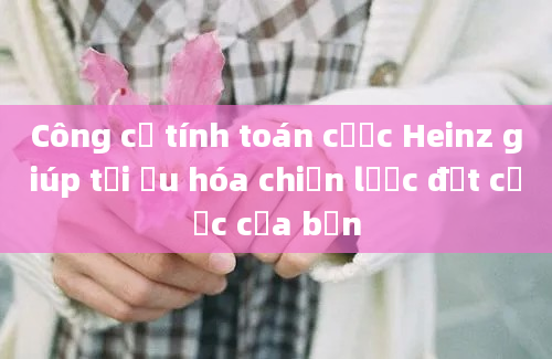 Công cụ tính toán cược Heinz giúp tối ưu hóa chiến lược đặt cược của bạn