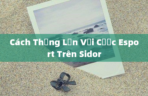 Cách Thắng Lớn Với Cược Esport Trên Sidor