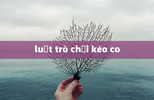 luật trò chơi kéo co