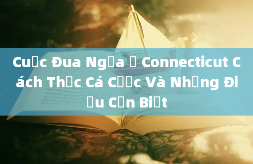 Cuộc Đua Ngựa Ở Connecticut Cách Thức Cá Cược Và Những Điều Cần Biết