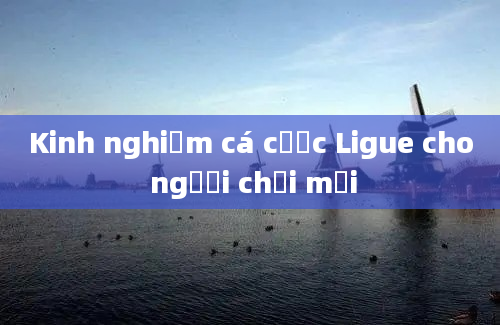 Kinh nghiệm cá cược Ligue cho người chơi mới