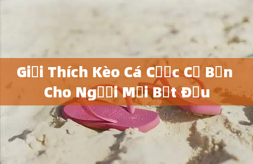 Giải Thích Kèo Cá Cược Cơ Bản Cho Người Mới Bắt Đầu