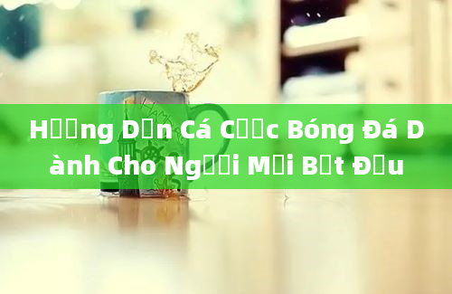 Hướng Dẫn Cá Cược Bóng Đá Dành Cho Người Mới Bắt Đầu