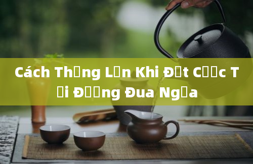 Cách Thắng Lớn Khi Đặt Cược Tại Đường Đua Ngựa