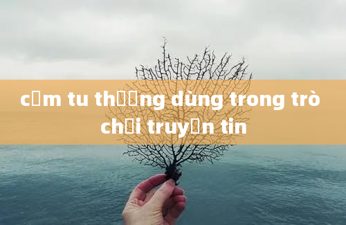 cụm tu thường dùng trong trò chơi truyền tin