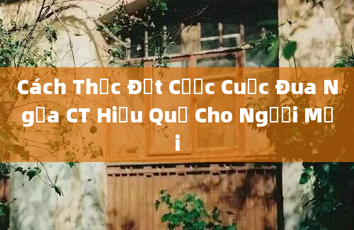 Cách Thức Đặt Cược Cuộc Đua Ngựa CT Hiệu Quả Cho Người Mới