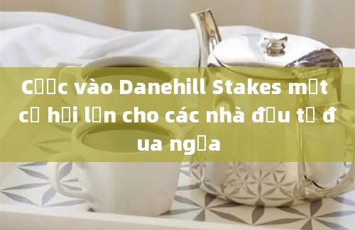 Cược vào Danehill Stakes một cơ hội lớn cho các nhà đầu tư đua ngựa