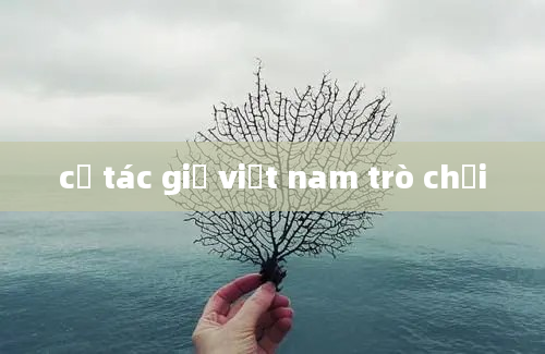 cờ tác giả việt nam trò chơi