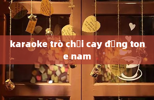 karaoke trò chơi cay đắng tone nam