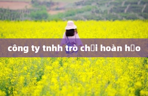 công ty tnhh trò chơi hoàn hảo