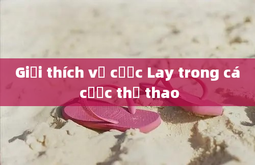 Giải thích về cược Lay trong cá cược thể thao