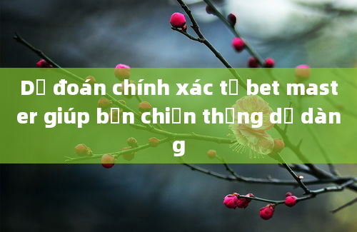 Dự đoán chính xác từ bet master giúp bạn chiến thắng dễ dàng