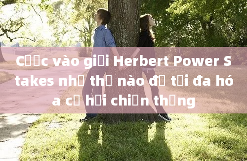 Cược vào giải Herbert Power Stakes như thế nào để tối đa hóa cơ hội chiến thắng