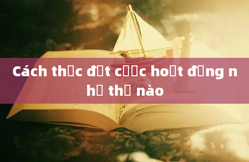 Cách thức đặt cược hoạt động như thế nào