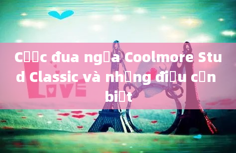 Cược đua ngựa Coolmore Stud Classic và những điều cần biết