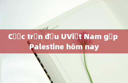 Cược trận đấu UViệt Nam gặp Palestine hôm nay