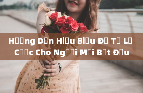 Hướng Dẫn Hiểu Biểu Đồ Tỷ Lệ Cược Cho Người Mới Bắt Đầu