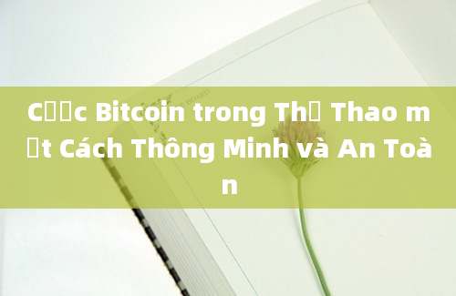 Cược Bitcoin trong Thể Thao một Cách Thông Minh và An Toàn