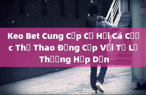 Keo Bet Cung Cấp Cơ Hội Cá Cược Thể Thao Đẳng Cấp Với Tỷ Lệ Thưởng Hấp Dẫn