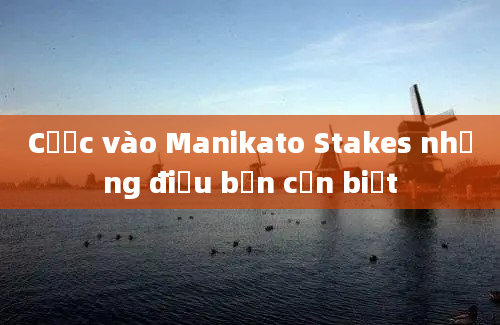 Cược vào Manikato Stakes những điều bạn cần biết