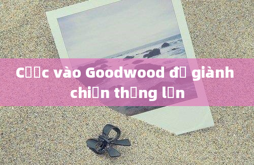 Cược vào Goodwood để giành chiến thắng lớn