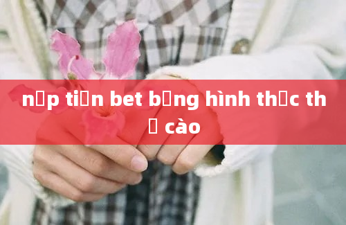 nạp tiền bet bằng hình thức thẻ cào