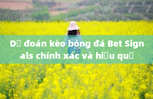 Dự đoán kèo bóng đá Bet Signals chính xác và hiệu quả