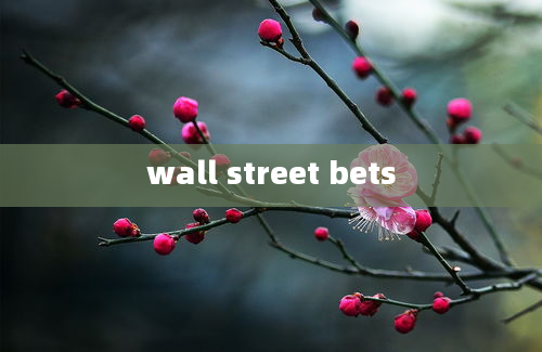 wall street bets