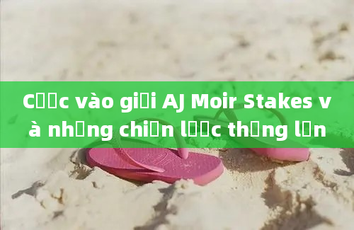 Cược vào giải AJ Moir Stakes và những chiến lược thắng lớn