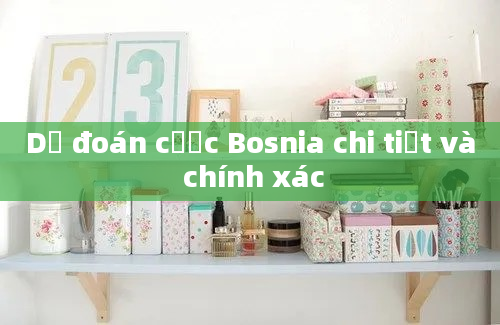 Dự đoán cược Bosnia chi tiết và chính xác