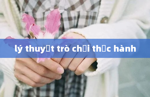 lý thuyết trò chơi thực hành