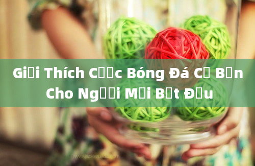 Giải Thích Cược Bóng Đá Cơ Bản Cho Người Mới Bắt Đầu