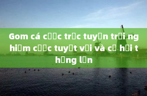 Gom cá cược trực tuyến trải nghiệm cược tuyệt vời và cơ hội thắng lớn