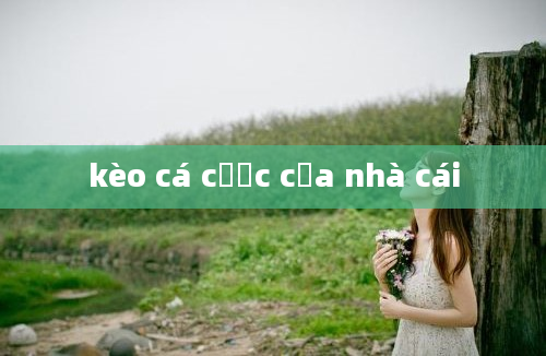 kèo cá cược của nhà cái