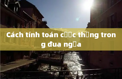 Cách tính toán cược thắng trong đua ngựa