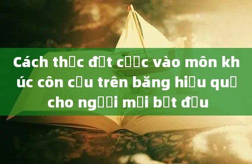 Cách thức đặt cược vào môn khúc côn cầu trên băng hiệu quả cho người mới bắt đầu