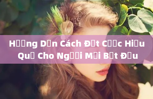 Hướng Dẫn Cách Đặt Cược Hiệu Quả Cho Người Mới Bắt Đầu