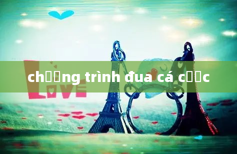 chương trình đua cá cược