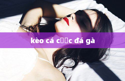 kèo cá cược đá gà