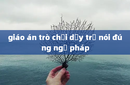 giáo án trò chơi dạy trẻ nói đúng ngữ pháp