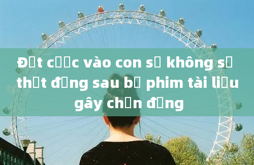 Đặt cược vào con số không sự thật đằng sau bộ phim tài liệu gây chấn động