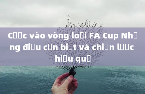 Cược vào vòng loại FA Cup Những điều cần biết và chiến lược hiệu quả