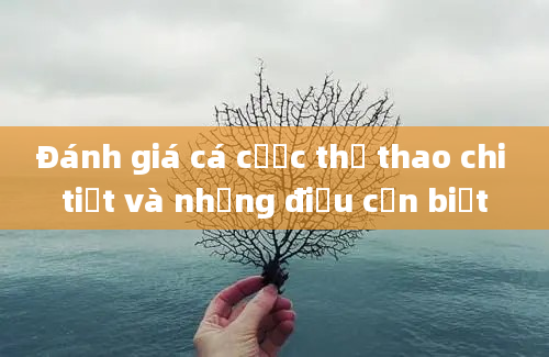 Đánh giá cá cược thể thao chi tiết và những điều cần biết