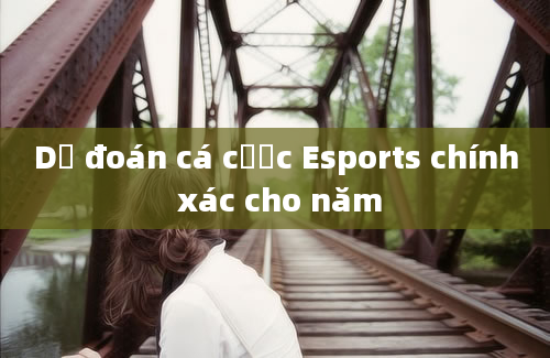 Dự đoán cá cược Esports chính xác cho năm